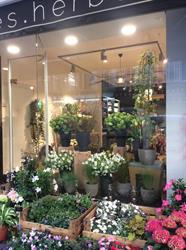 Les Herbes Folles, Marseille - Horaires d'ouverture