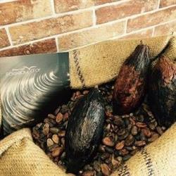 Chocolaterie L'Oiseau d'Or Nice, - Horaires d'ouverture