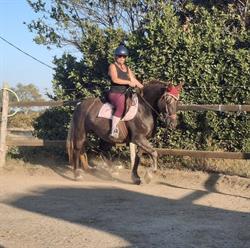 Jessie Equitation, Escales - Horaires d'ouverture