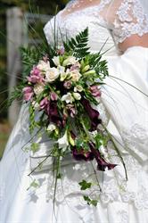 Floralys, Livarot-Pays-d'Auge - Horaires d'ouverture