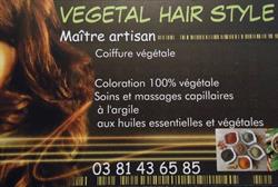 VEGETAL HAIR STYLE, Les Fins - Horaires d'ouverture