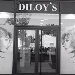 Diloy's, Le Taillan-Médoc - Horaires d'ouverture