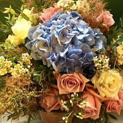 DB Fleurs, Le Bouscat - Horaires d'ouverture