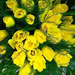 Fleuriste Floralies, Clamecy - Horaires d'ouverture
