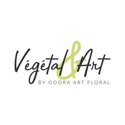 Vegetal Et Art, Béthune - Horaires d'ouverture