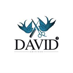 Salon David 2, Lille - Horaires d'ouverture