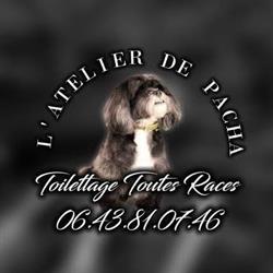 L'Atelier de Pacha - Villers-Sire, Villers-Sire-Nicole - Horaires d'ouverture
