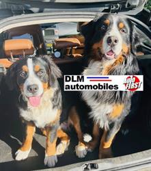 DLM AUTOMOBILES - Autofirst, Sérifontaine - Horaires d'ouverture