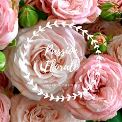 Fleuriste Passion Florale, Argentan - Horaires d'ouverture