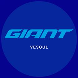 Giant Bicycles, Vesoul - Horaires d'ouverture