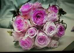 Fleurs et Ambiance, Camon - Horaires d'ouverture