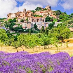 PROVENCE GOURMANDE PRODUITS DU TERROIR, Cuers - Horaires d'ouverture
