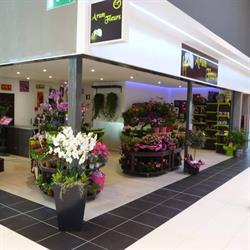 Arum Fleurs, Mennecy - Horaires d'ouverture