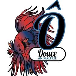 O Douce, Toulouse - Horaires d'ouverture