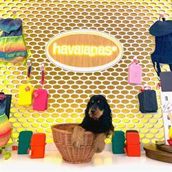 Havaianas, Propriano - Horaires d'ouverture