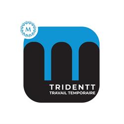 Tridentt Travail Temporaire, Colombe - Horaires d'ouverture