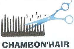 Chambon Hair, Le Chambon-Feugerolles - Horaires d'ouverture
