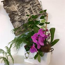 Moribana, Faches-Thumesnil - Horaires d'ouverture