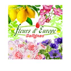 Jardinerie Fleurs D'Europe -Salignac, Saint-Crépin-et-Carlucet - Horaires d'ouverture