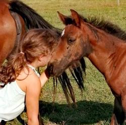 Centre Equestre de Traize, - Horaires d'ouverture