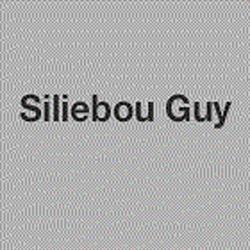 Siliebou Guy, Paris - Horaires d'ouverture