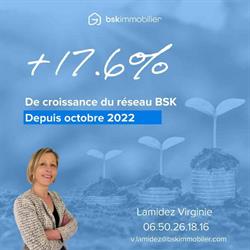 Immo Réseau Lamidez Virginie Conseillère immobilier, Steenwerck - Horaires d'ouverture