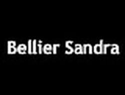 SELARL Sandra Bellier & Associés, Lyon - Horaires d'ouverture