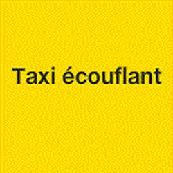 Taxi Ecouflant, Le Plessis-Grammoire - Horaires d'ouverture