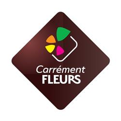 Carrément Fleurs, Anglet - Horaires d'ouverture
