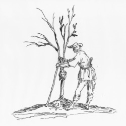 FRANCOIS AUDIGER, Collandres-Quincarnon - Horaires d'ouverture