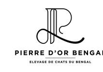 PIERRE D Or Bengal, Anse - Horaires d'ouverture