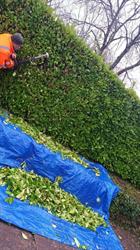 Espace Vert Lagrain, Courlay - Horaires d'ouverture