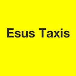Esus Taxis, Vannes - Horaires d'ouverture