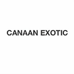 Canaan African Food, Metz - Horaires d'ouverture