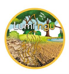 Lumi'ngu Coiffure, Lille - Horaires d'ouverture