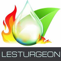 Lesturgeon Gaetan, Plouguenast - Horaires d'ouverture