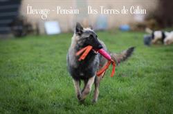 Des Terres de Calan, Saint-Thomas-de-Courceriers - Horaires d'ouverture