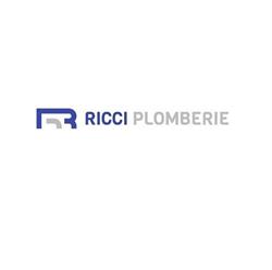 RICCI PLOMBERIE, Saint-Genis-Laval - Horaires d'ouverture