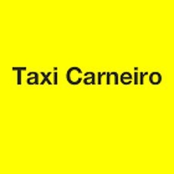 Taxi Carneiro, Bordeaux - Horaires d'ouverture