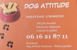 Dog Attitude, Saint-Méen - Horaires d'ouverture