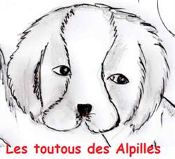 Toutouchat'Dom, Graveson - Horaires d'ouverture