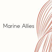 Allies Marine, Afa - Horaires d'ouverture