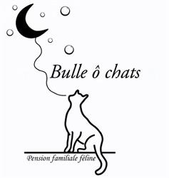Bulle ô Chats, Amberre - Horaires d'ouverture
