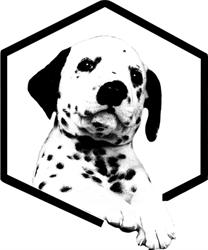Educanine, Guérande - Horaires d'ouverture