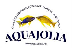 Aquajolia, Portes-lès-Valence - Horaires d'ouverture