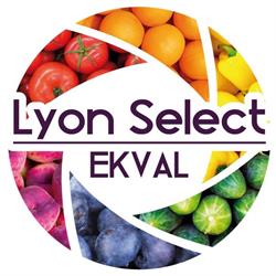 Lyon Select - Ekval, Corbas - Horaires d'ouverture