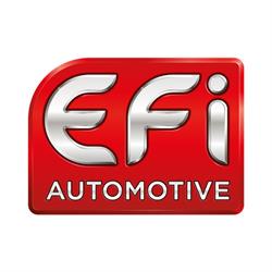 EFI Automotive, Beynost - Horaires d'ouverture