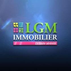 LGM Le Roux Didier Mandataire Indépendant, Plounérin - Horaires d'ouverture