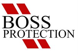 Boss Protection - Mc Protect, Beynes - Horaires d'ouverture
