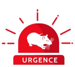 Dératisation Urgence Paris - 1er Dératiseur à Paris, Chelles - Horaires d'ouverture